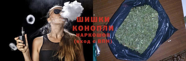 крисы Чегем