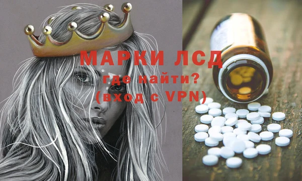 крисы Чегем