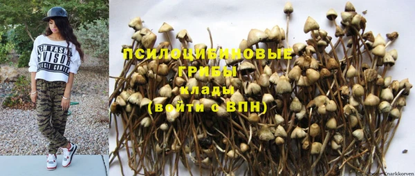 экстази Шадринск