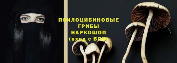 экстази Шадринск