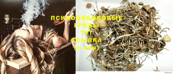 экстази Шадринск